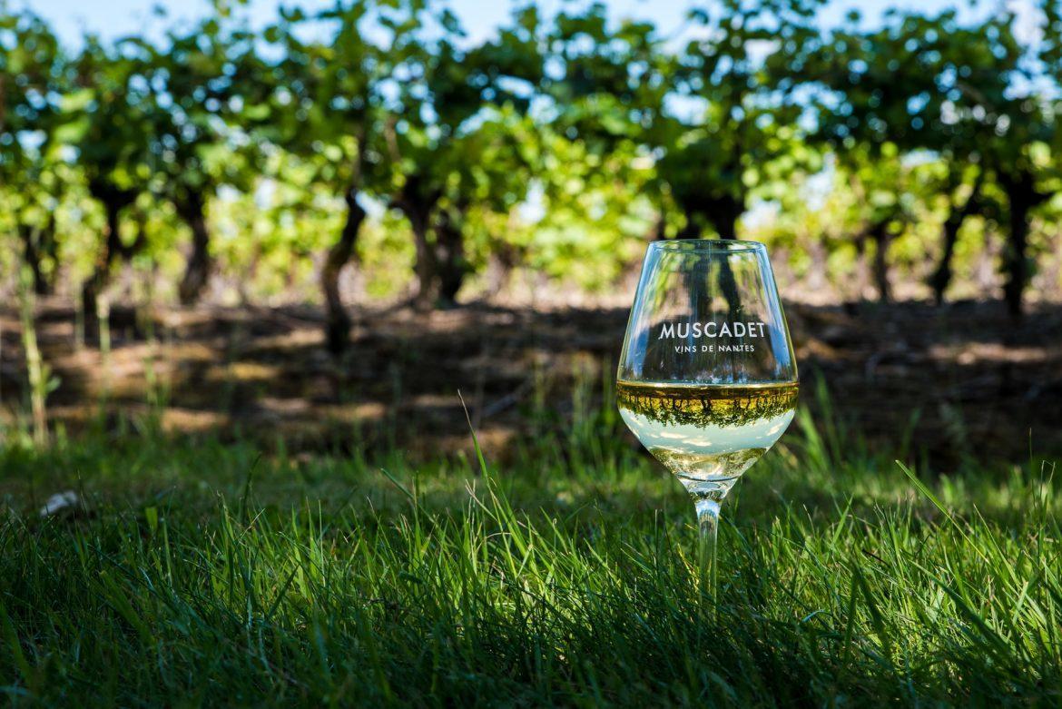 Dependance Chaleureuse Dans Le Vignoble Nantais La Haie-Fouassiere Exterior foto
